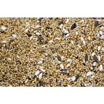 Karma Papuga Falista z murzynkiem 10 kg