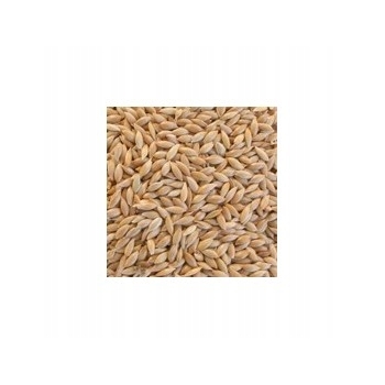 Kanar dla gołębi, papug, gryzoni 1kg