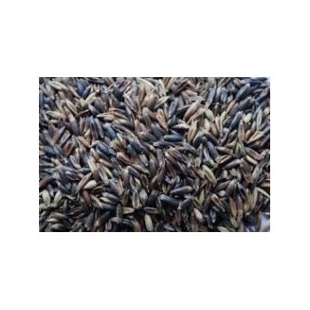 Owies czarny dla gołębi, papug, gryzoni 1kg